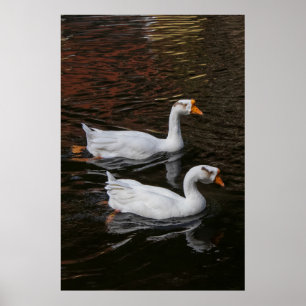 Das Paar Poster