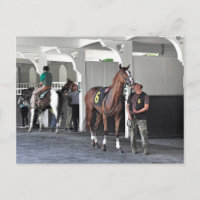 Das Paddock im Belmont Park