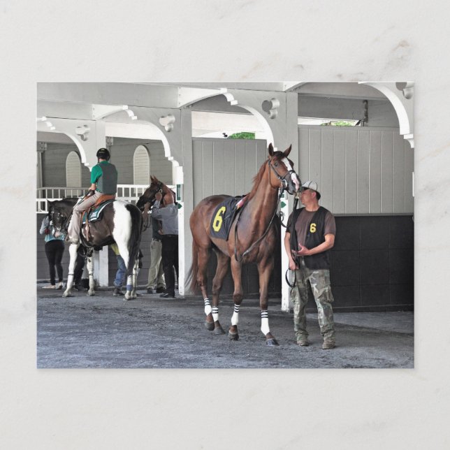 Das Paddock im Belmont Park Postkarte (Vorderseite)