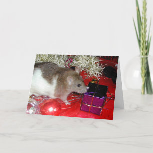Das Paket des Finks Feiertagskarte