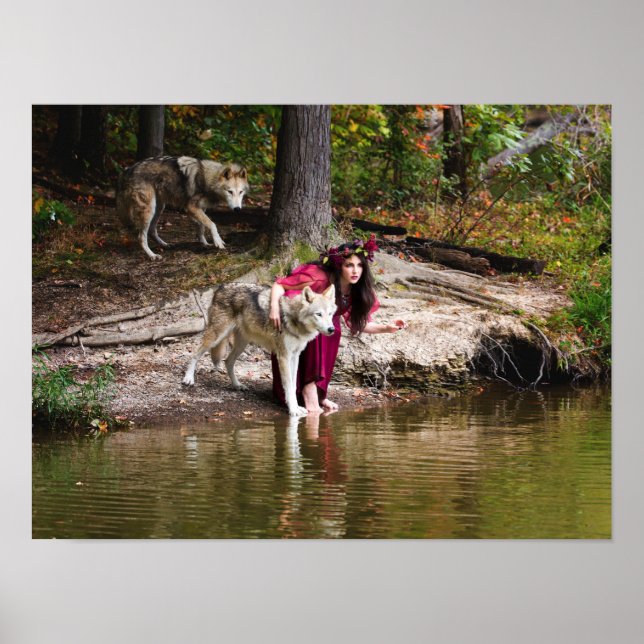 Das Paket Poster (Vorne)