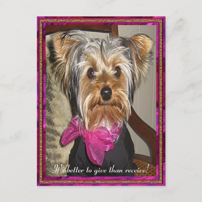 Das perfekte Geschenk Postkarte (Vorderseite)