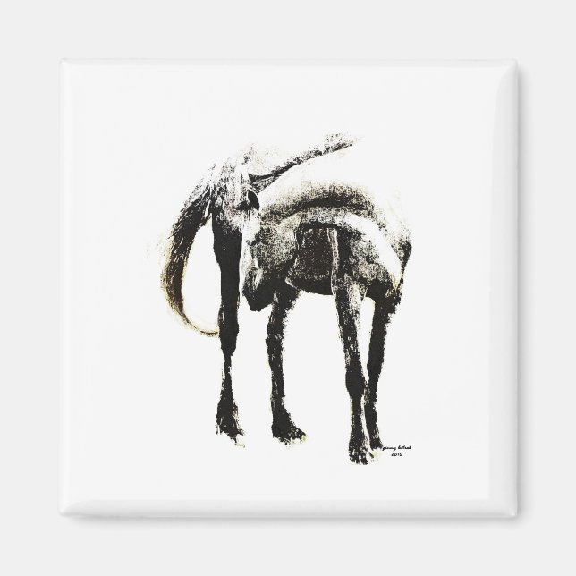 Das Pferd Magnet (Vorne)