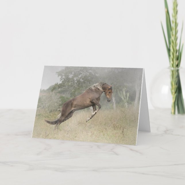 Das Pferdespringen Karte (Vorderseite)