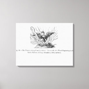 Das Phoenix, das von seiner Asche steigt Leinwanddruck