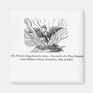 Das Phoenix, das von seiner Asche steigt Magnet