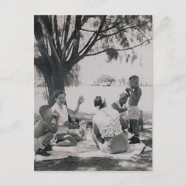 DAS PICNICK #25 POSTKARTE (Vorderseite)