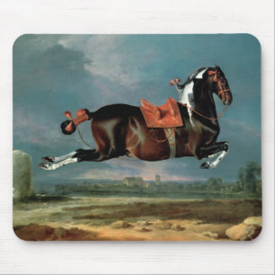 Das Piebaldpferd "aufrichtendes Cehero" Mousepad
