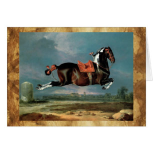 Das Piebaldpferd "Cehero"-Aufzucht