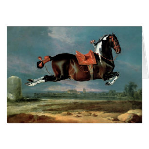 Das Piebaldpferd "Cehero"-Aufzucht