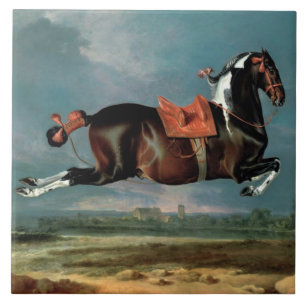 Das Piebaldpferd "Cehero"-Aufzucht Fliese