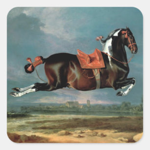 Das Piebaldpferd "Cehero"-Aufzucht Quadratischer Aufkleber