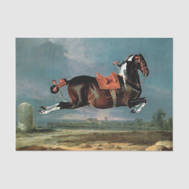 Das Piebaldpferd "Cehero"-Aufzucht Seidenpapier (Vorderseite)