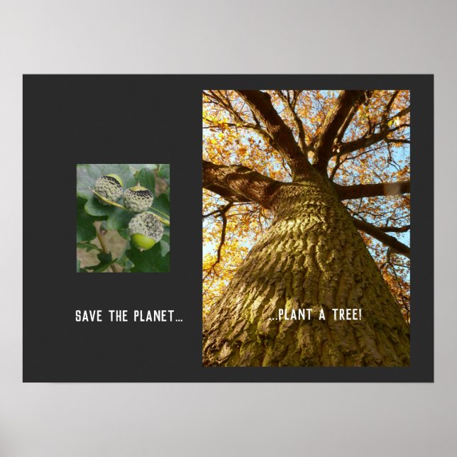 Das Planet retten Poster (Vorne)