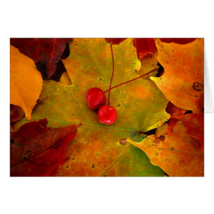 Das Portal II des Schmirgels