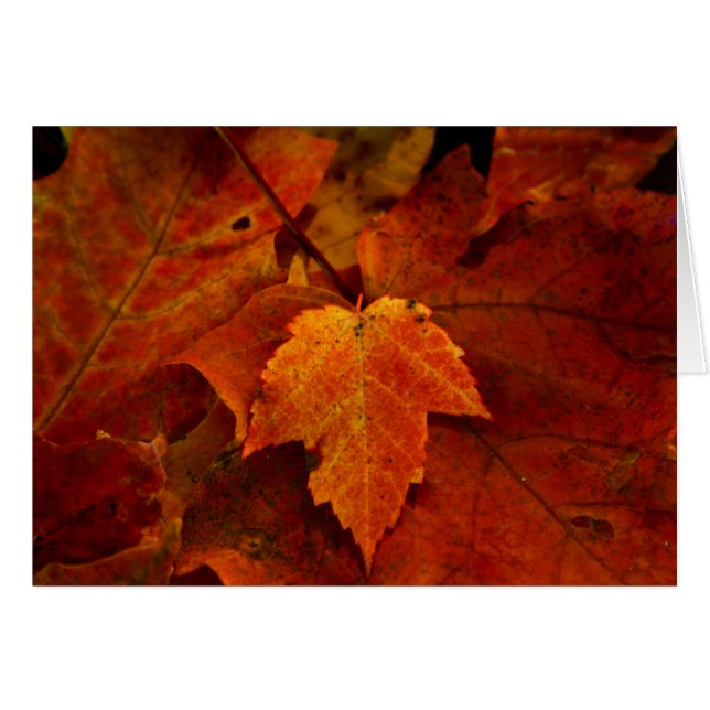 Das Portal III des Schmirgels (Vorderseite (Horizontal))