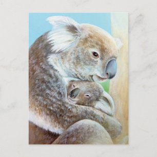 Das Portrait "The Koala cuddle" mit der Postkarte