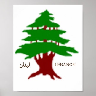 Das Poster der alten Zedernhälfte des Libanon