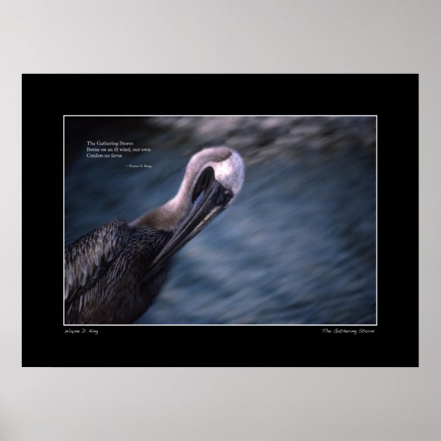 Das Poster der Ansammlung Storm Haiku (Vorne)