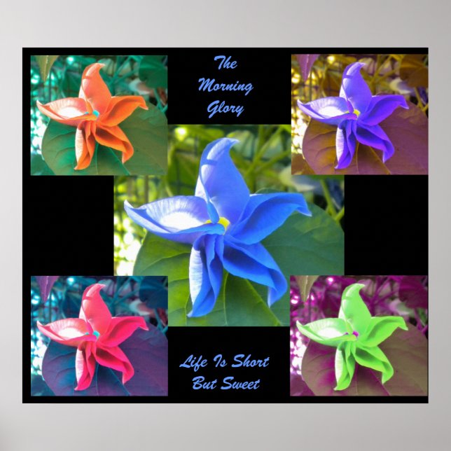 Das Poster der Morgenherrschaft (Vorne)