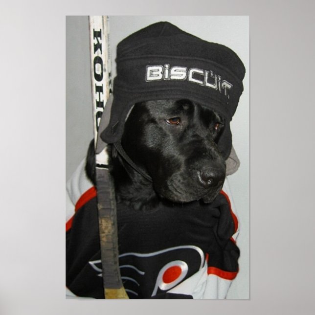 Das Poster der schwarzen Biscuit-Flyer (Vorne)