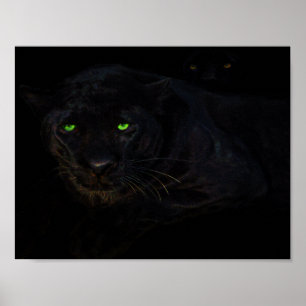 Das Poster der schwarzen Panther