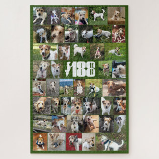 Das Poster-Puzzle der 188 Rettungsgruppe Puzzle