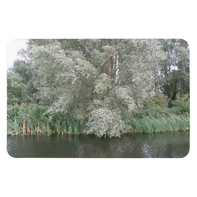 Das Premium Magnet für Weiße Bäume und Flüsse (Horizontal)
