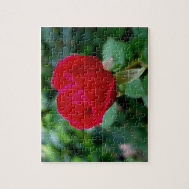 Das Puzzle der perfekten Rose (Vertikal)