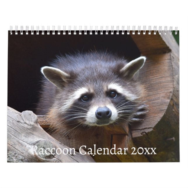 Das Raccoon-Waldtier Kalender (Titelbild)