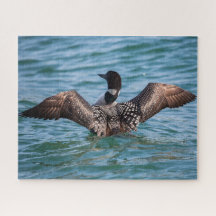 Das Rätsel der ungewöhnlichen Löcher