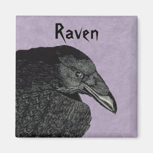 Das Raven Magnet