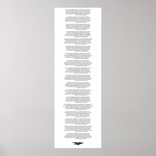 Das Raven Poster (Vorne)