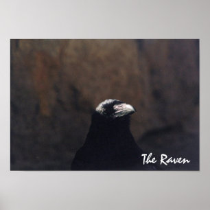 Das Raven Poster