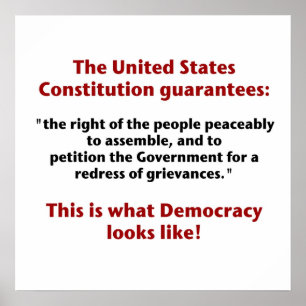 Das Recht zu versammeln - wie Demokratie aussieht Poster