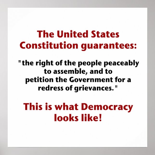 Das Recht zu versammeln - wie Demokratie aussieht Poster (Vorne)