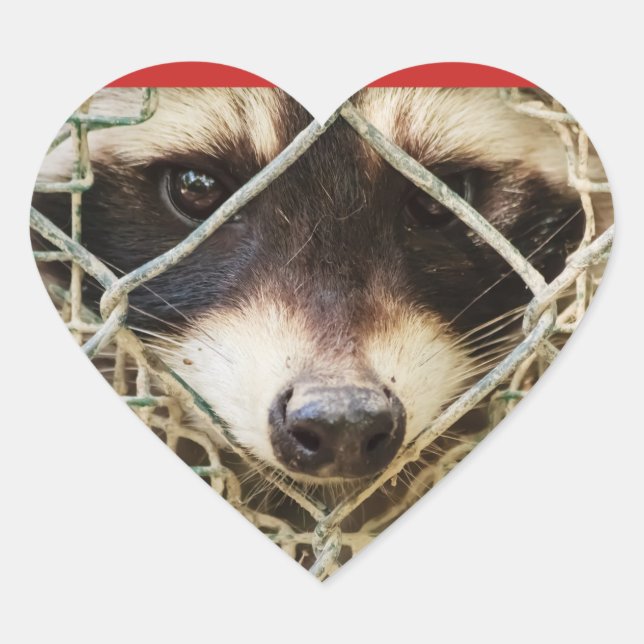 das Rennon auf den Heart Stickers (Vorderseite)