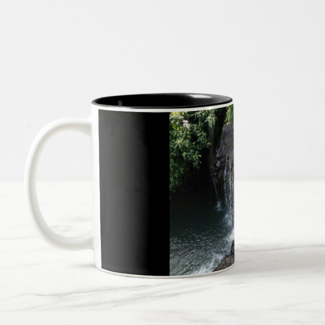 Das River Falls-Foto Zweifarbige Tasse (Links)