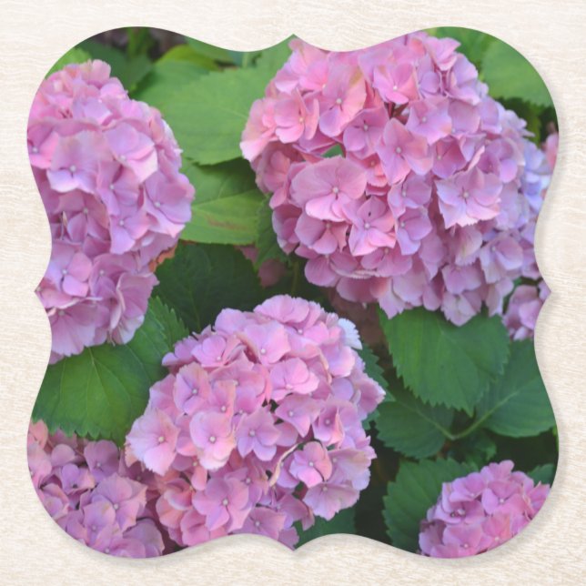 Das rosa Hortensia-Hydrangea-Party Untersetzer (Vorderseite)