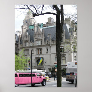 Das rosa Limo-Poster Poster