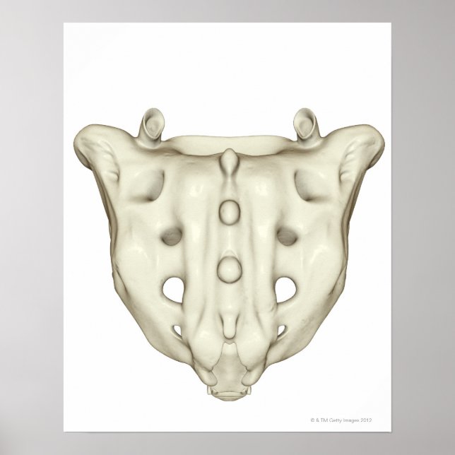 Das Sacrum Poster (Vorne)