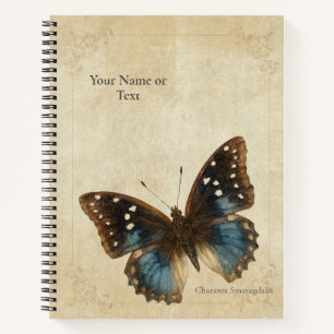 Das Saphir-Paradoxon: Charaxes Smaragdalis Notizbuch