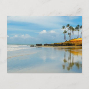 Das Schicksal der Küste von Palm Tropical Beach Postkarte