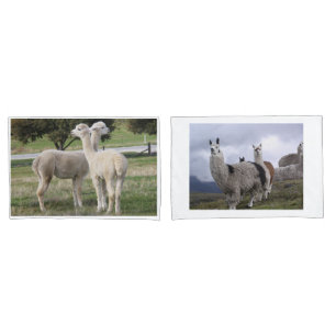 Das Schicksal des benutzerdefinierten Llama-Tieres Kissenbezug