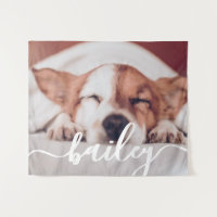 Das schlichte moderne Design des Hauses trägt sein