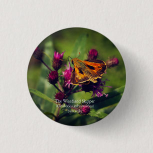 Das Schmetterling des Waldlands Skipper Button