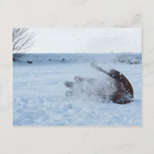 Das Schneebad - Postkarte