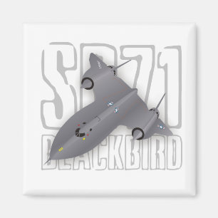 Das schnellste Überschallspions-Flugzeug: Amsel Magnet