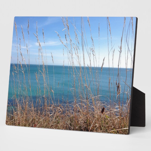 Das schöne Gras und das Meer Fotoplatte (Seite)