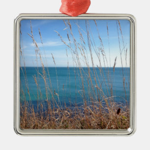 Das schöne Gras und das Meer Silbernes Ornament